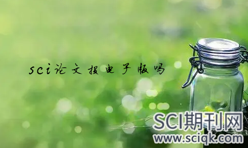 sci论文投电子版吗